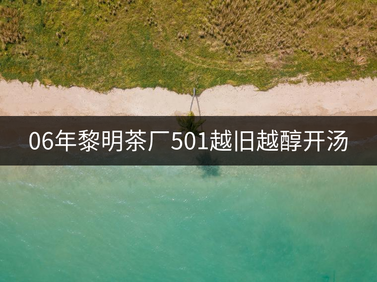 06年黎明茶廠501越舊越醇開湯 06年黎明茶廠501越舊越醇開湯