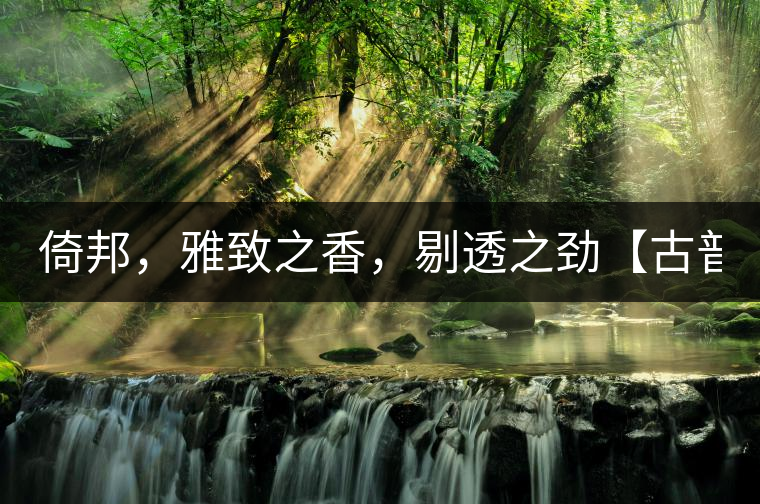 倚邦，雅致之香，剔透之勁【古普十二山品鑒】