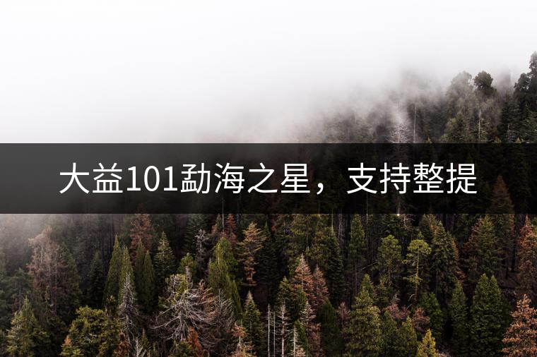 大益101勐海之星，支持整提