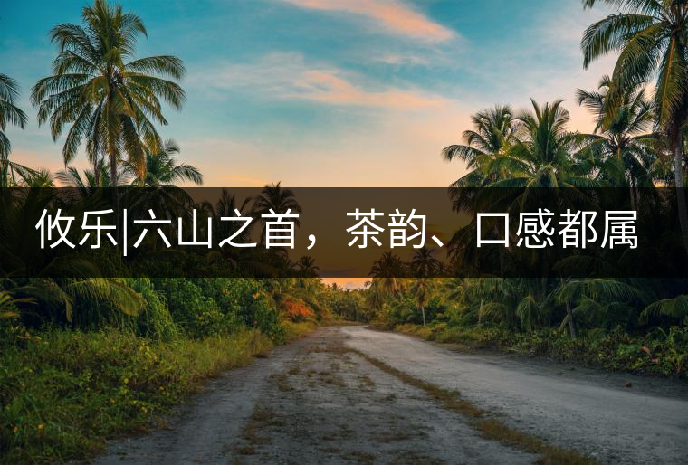 攸樂|六山之首，茶韻、口感都屬古六山一系