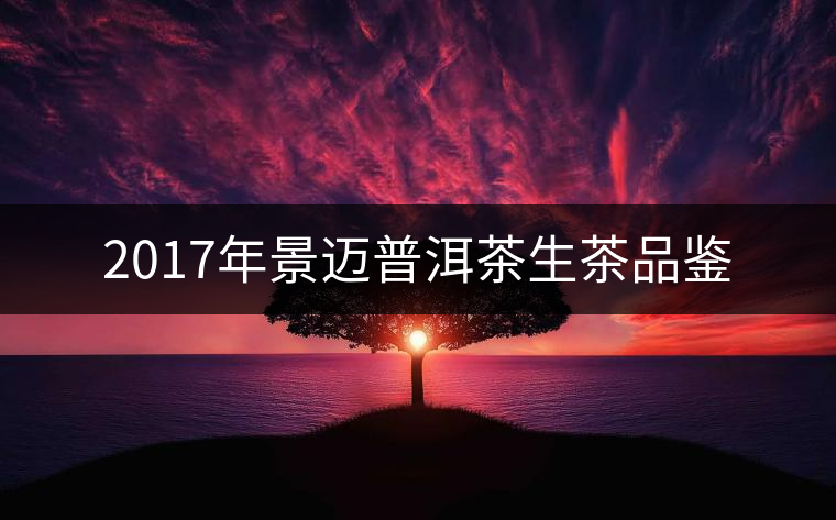 2017年景邁普洱茶生茶品鑒 2017年景邁普洱茶生茶品鑒