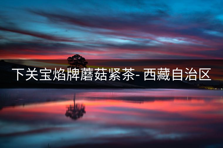 下關(guān)寶焰牌蘑菇緊茶- 西藏自治區(qū)成立40周年紀(jì)念