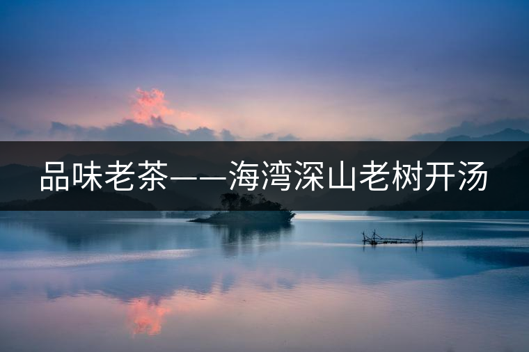 品味老茶——海灣深山老樹(shù)開(kāi)湯 品味老茶——海灣深山老樹(shù)開(kāi)湯