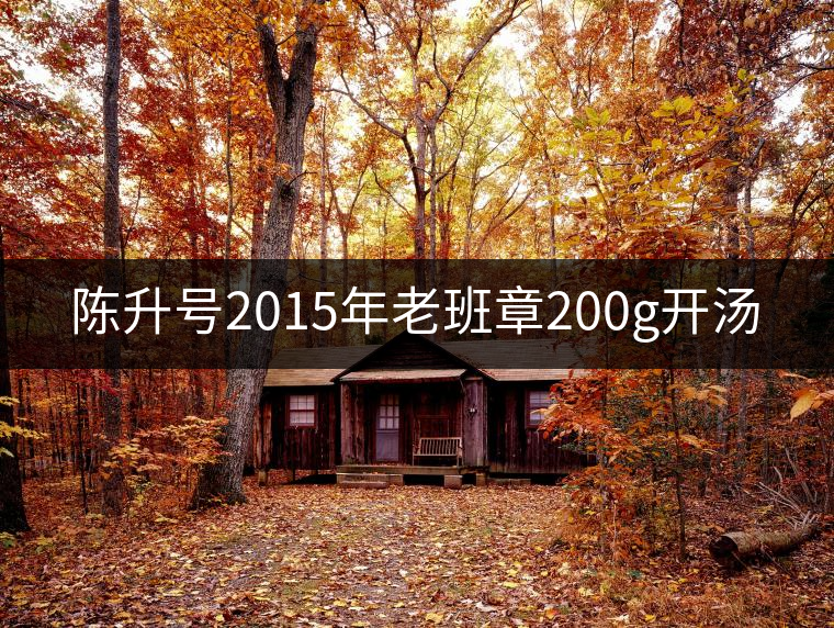 陳升號2015年老班章200g開湯 陳升號2015年老班章200g開湯