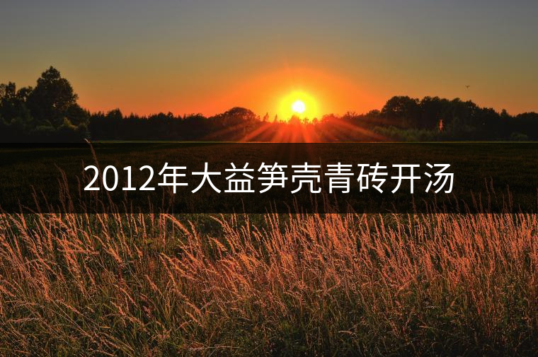 2012年大益筍殼青磚開湯 2012年大益筍殼青磚開湯