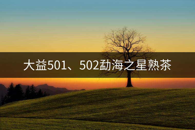 大益501、502勐海之星熟茶