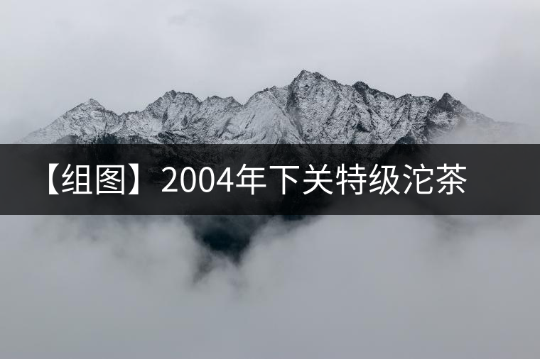【組圖】2004年下關(guān)特級(jí)沱茶開湯