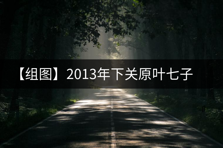 【組圖】2013年下關(guān)原葉七子餅茶開(kāi)湯