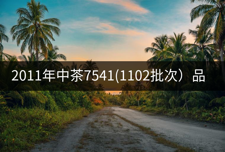 2011年中茶7541(1102批次）品評(píng)