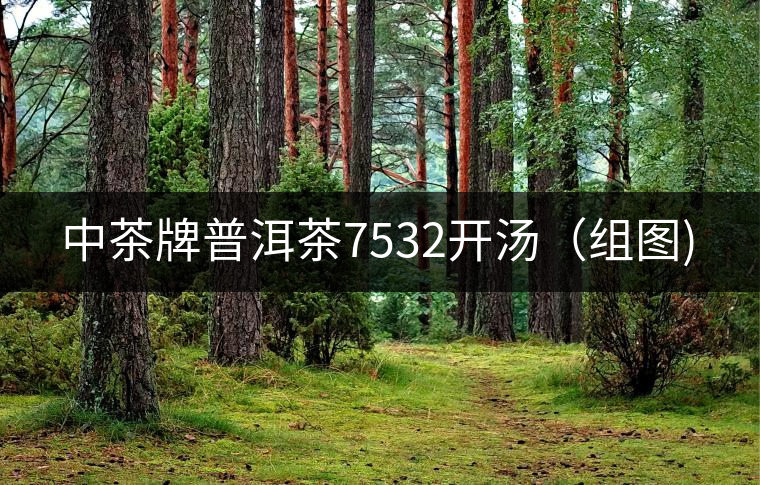 中茶牌普洱茶7532開(kāi)湯(組圖) 中茶牌普洱茶7532開(kāi)湯(組圖)