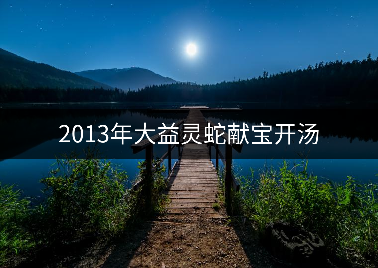 2013年大益靈蛇獻(xiàn)寶開湯 2013年大益靈蛇獻(xiàn)寶開湯