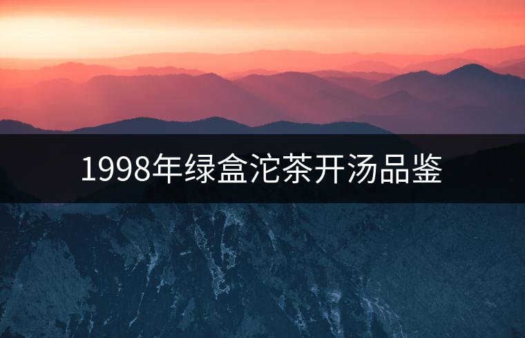 1998年綠盒沱茶開(kāi)湯品鑒 1998年綠盒沱茶開(kāi)湯品鑒