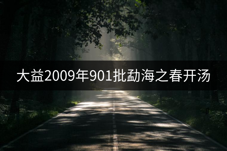 大益2009年901批勐海之春開湯 大益2009年901批勐海之春開湯