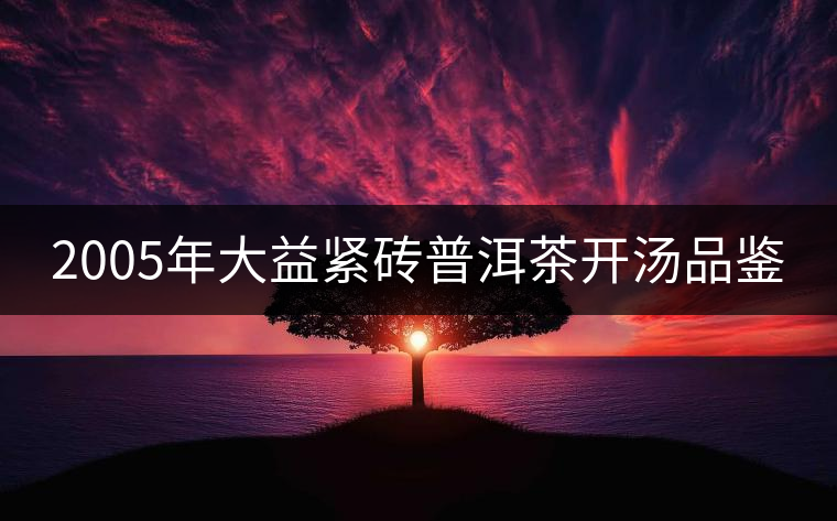 2005年大益緊磚普洱茶開(kāi)湯品鑒