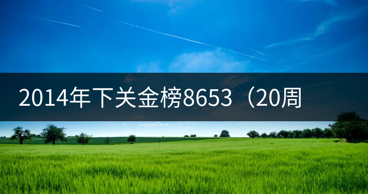 2014年下關(guān)金榜8653（20周年紀(jì)念餅）品評