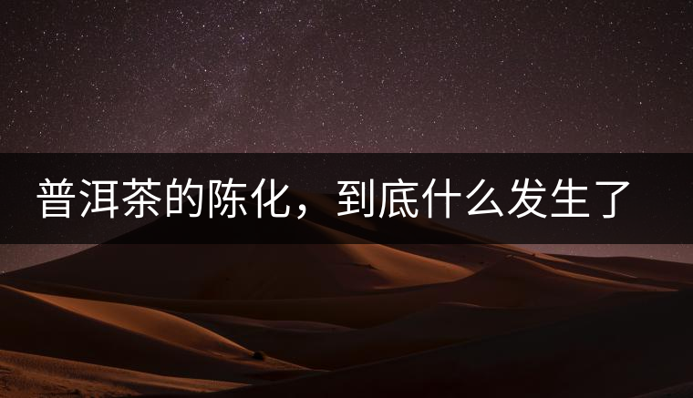 普洱茶的陳化，到底什么發(fā)生了哪些變化？