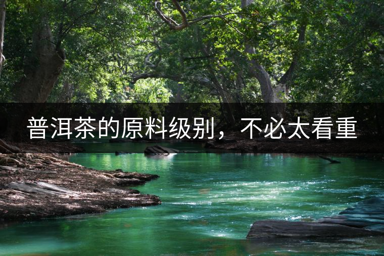 普洱茶的原料級別，不必太看重