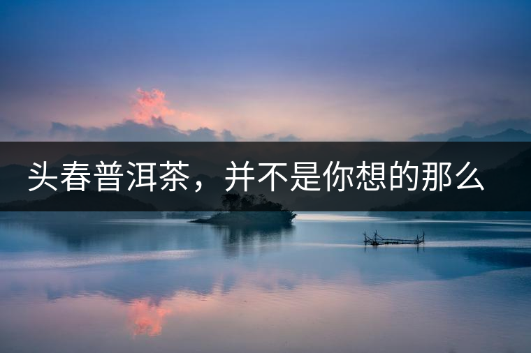 頭春普洱茶，并不是你想的那么好