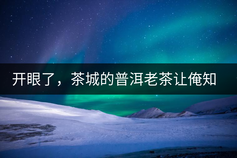 開(kāi)眼了，茶城的普洱老茶讓俺知道了老茶樹(shù)