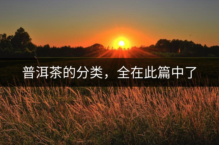 普洱茶的分類，全在此篇中了