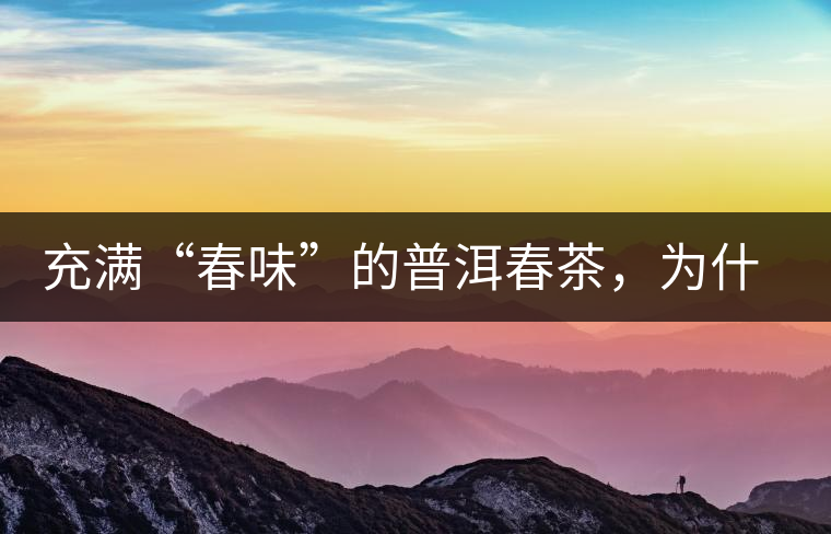 充滿“春味”的普洱春茶，為什么值得期待？
