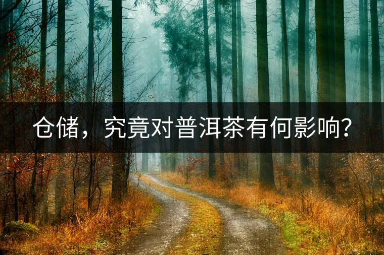 倉儲，究竟對普洱茶有何影響？