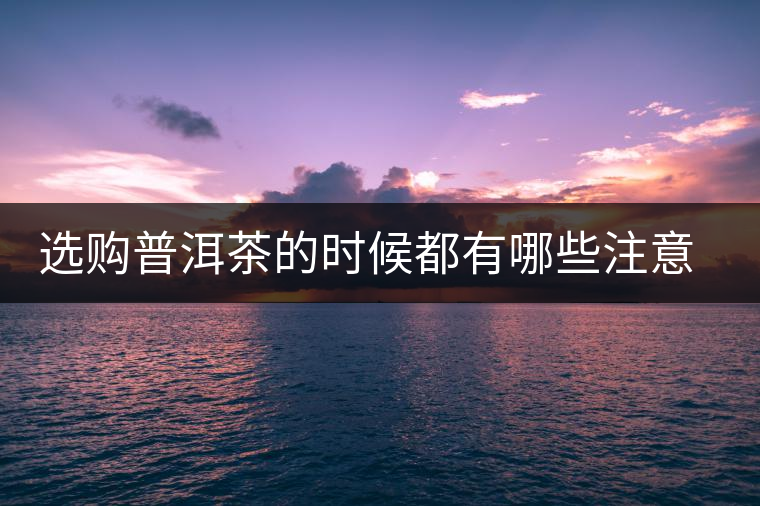 選購普洱茶的時候都有哪些注意事項？