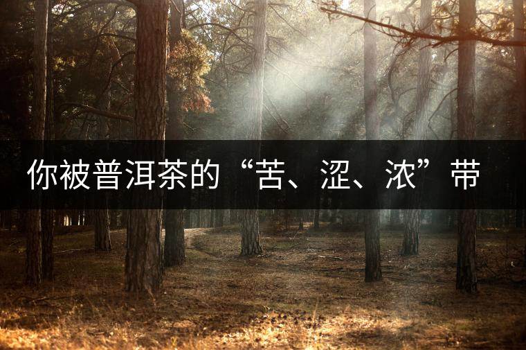 你被普洱茶的“苦、澀、濃”帶入“歧途”了嗎？