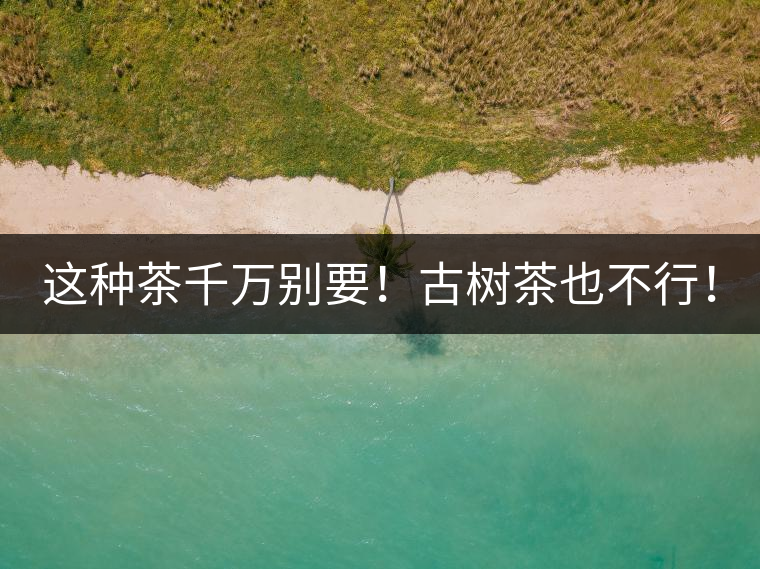 這種茶千萬(wàn)別要！古樹茶也不行！