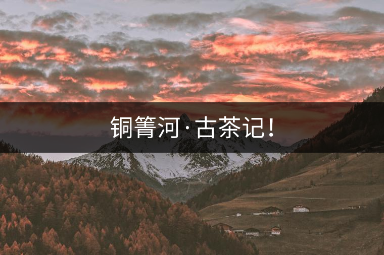 銅箐河·古茶記！