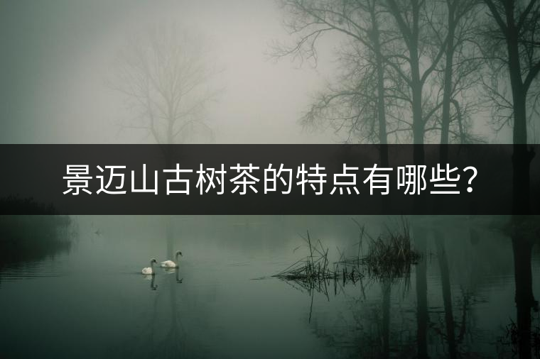 景邁山古樹茶的特點(diǎn)有哪些？