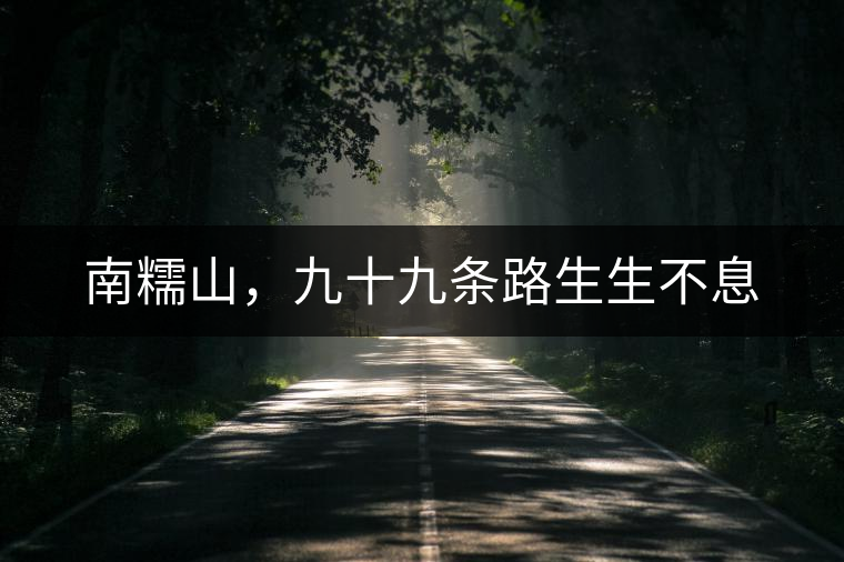 南糯山，九十九條路生生不息