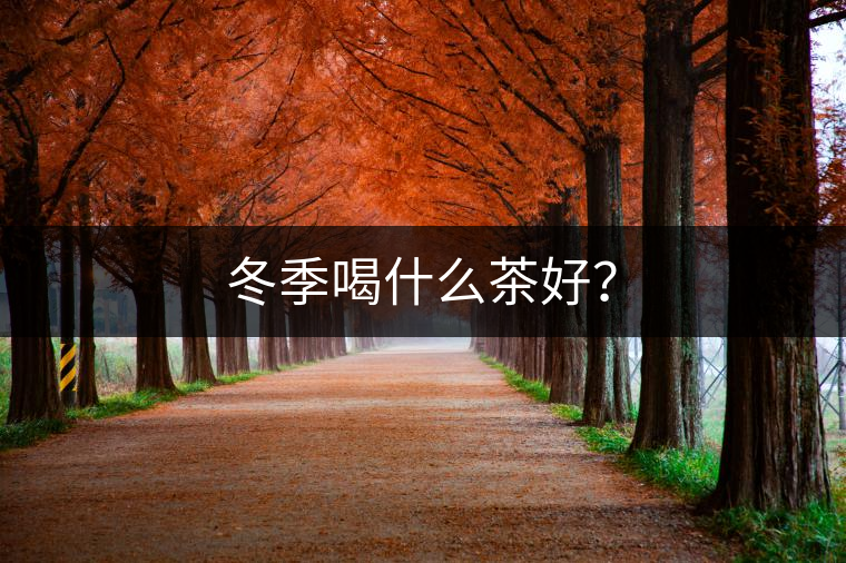 冬季喝什么茶好？