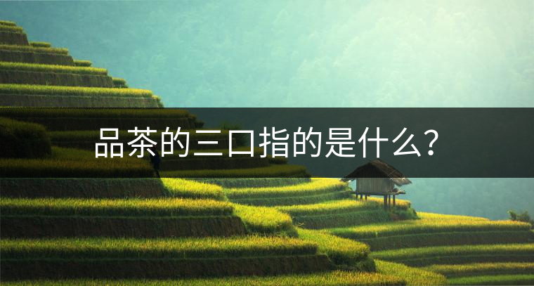 品茶的三口指的是什么？