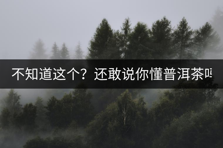 不知道這個？還敢說你懂普洱茶嗎？