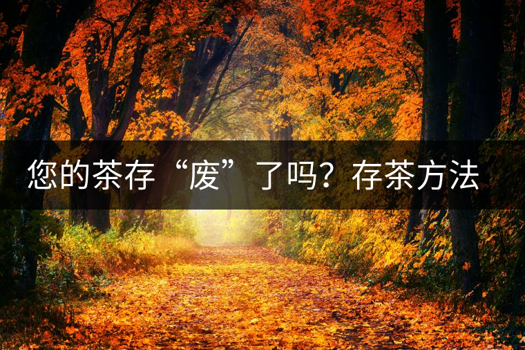 您的茶存“廢”了嗎？存茶方法與技巧，把香留住！