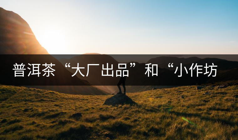 普洱茶“大廠出品”和“小作坊”，哪一個(gè)更值得購(gòu)買(mǎi)？