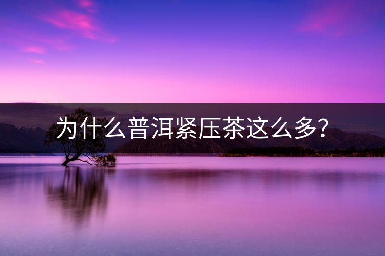 為什么普洱緊壓茶這么多？