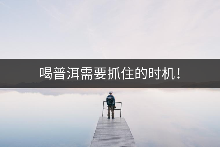 喝普洱需要抓住的時機(jī)！