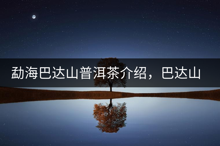 勐海巴達(dá)山普洱茶介紹，巴達(dá)山古樹(shù)茶口感特點(diǎn)