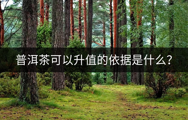 普洱茶可以升值的依據(jù)是什么？