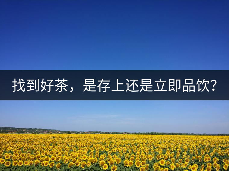 找到好茶，是存上還是立即品飲？
