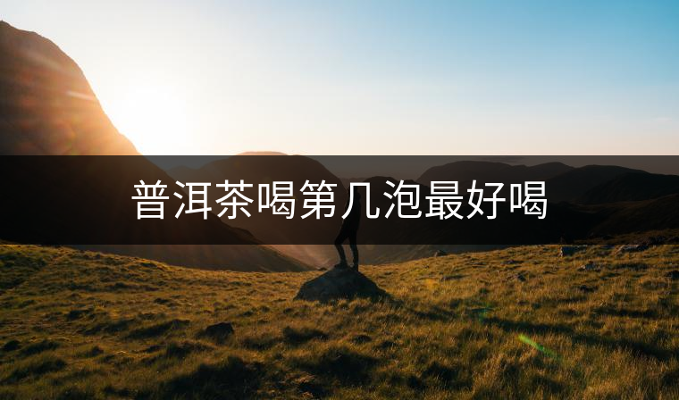 普洱茶喝第幾泡最好喝