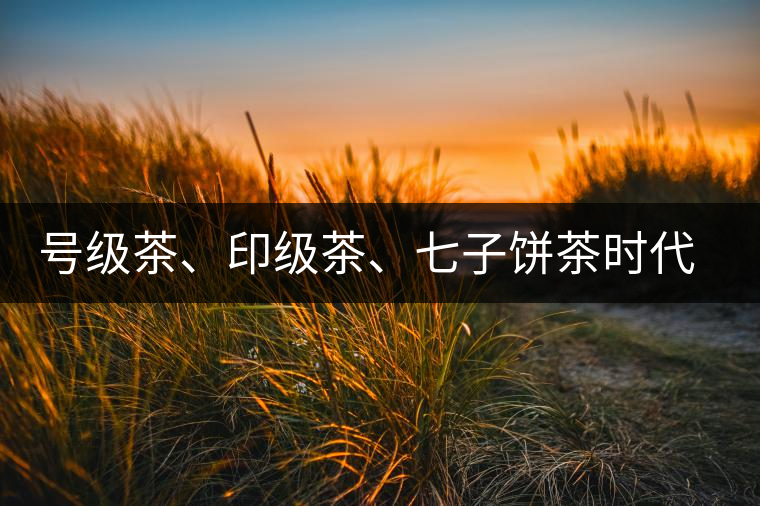 號級茶、印級茶、七子餅茶時代是怎么劃分的？