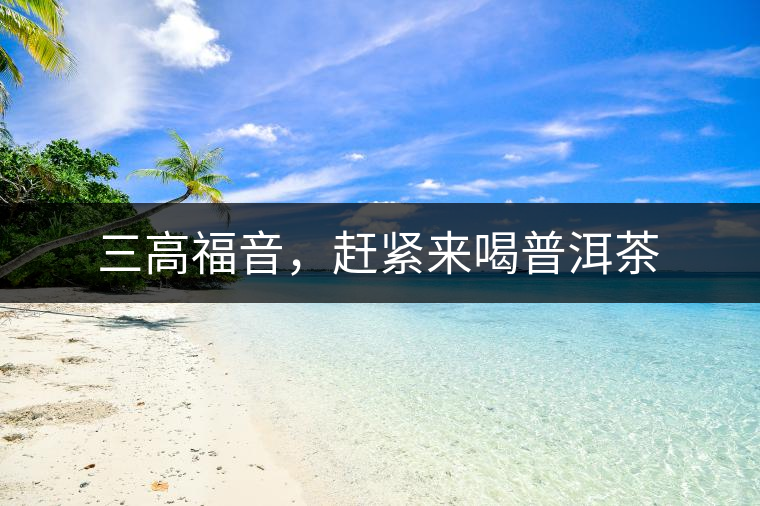 三高福音，趕緊來喝普洱茶