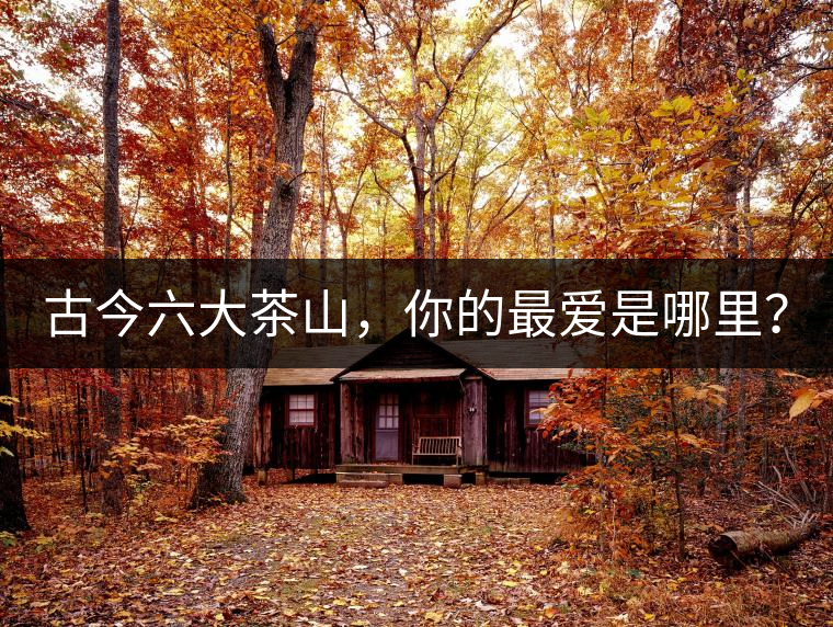 古今六大茶山，你的最愛是哪里？