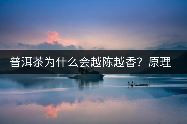 普洱茶為什么會越陳越香？原理是什么？