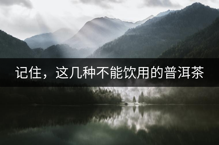 記住，這幾種不能飲用的普洱茶