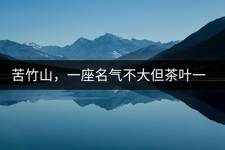 苦竹山，一座名氣不大但茶葉一流的古茶山