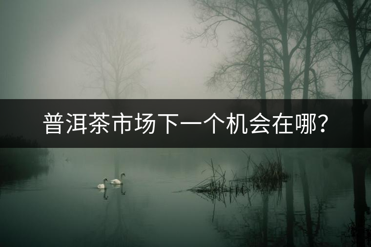 普洱茶市場下一個機會在哪？